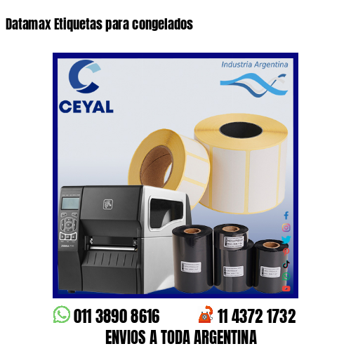 Datamax Etiquetas para congelados