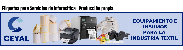 Etiquetas para Servicios de informática . Producción propia