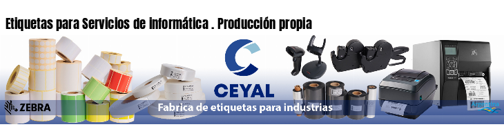 Etiquetas para Servicios de informática . Producción propia