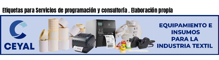 Etiquetas para Servicios de programación y consultoría . Elaboración propia
