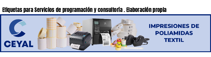 Etiquetas para Servicios de programación y consultoría . Elaboración propia