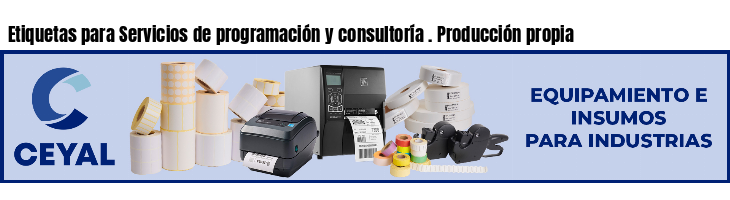 Etiquetas para Servicios de programación y consultoría . Producción propia