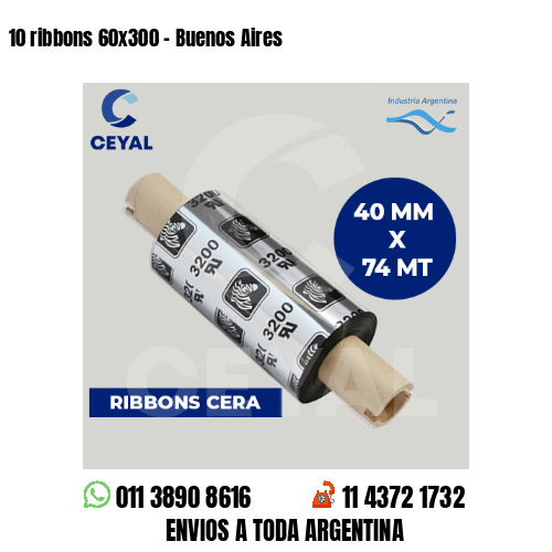 10 ribbons 60×300 – Buenos Aires