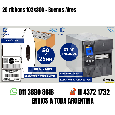 20 ribbons 102x300 - Buenos Aires