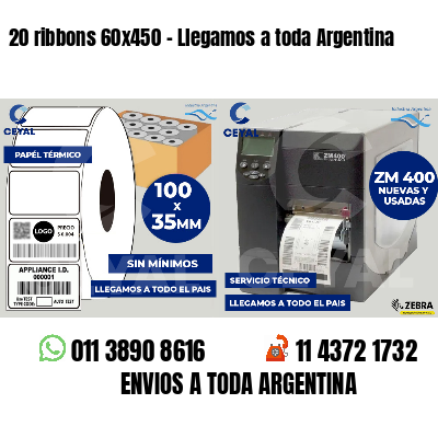 20 ribbons 60x450 - Llegamos a toda Argentina