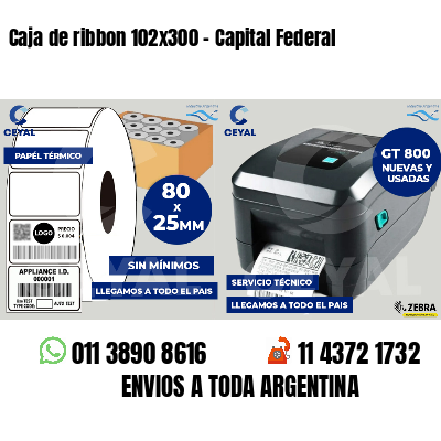 Caja de ribbon 102x300 - Capital Federal