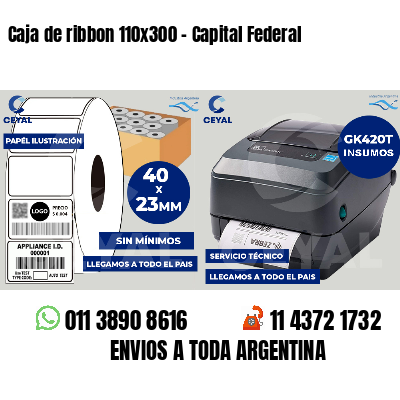 Caja de ribbon 110x300 - Capital Federal