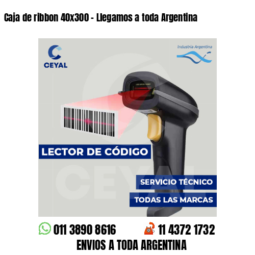 Caja de ribbon 40x300 - Llegamos a toda Argentina