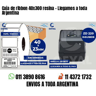 Caja de ribbon 40x300 resina - Llegamos a toda Argentina