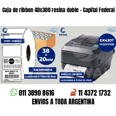 Caja de ribbon 40x300 resina doble - Capital Federal