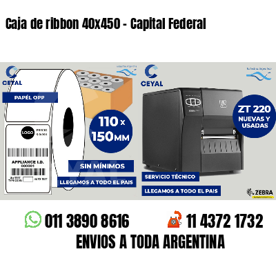 Caja de ribbon 40x450 - Capital Federal