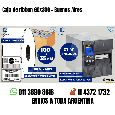 Caja de ribbon 60x300 - Buenos Aires