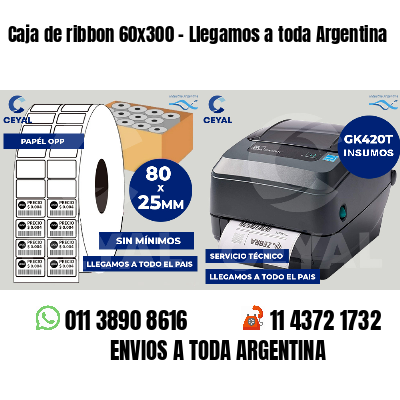 Caja de ribbon 60x300 - Llegamos a toda Argentina