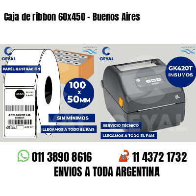 Caja de ribbon 60x450 - Buenos Aires