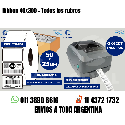 Ribbon 40x300 - Todos los rubros