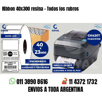 Ribbon 40x300 resina - Todos los rubros
