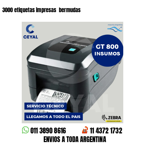 3000 etiquetas impresas  bermudas
