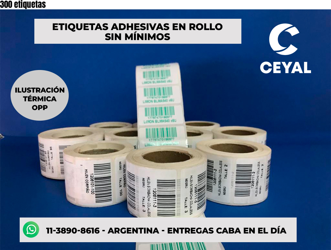 300 etiquetas