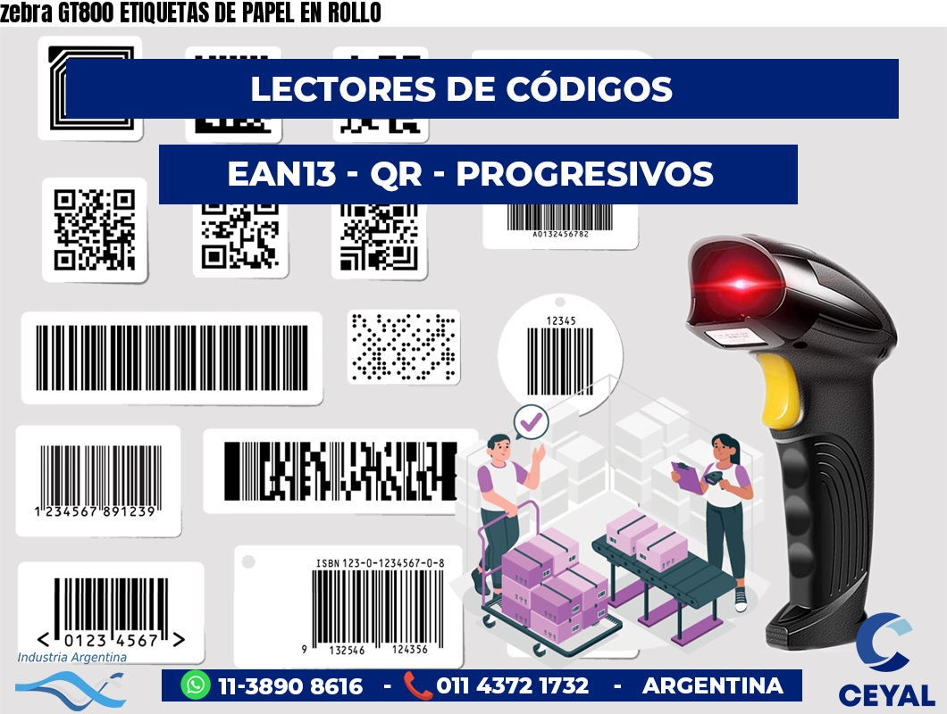 zebra GT800 ETIQUETAS DE PAPEL EN ROLLO