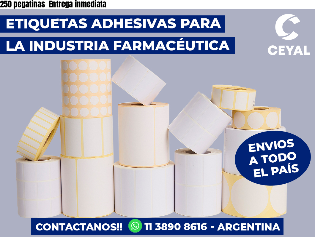 250 pegatinas  Entrega inmediata