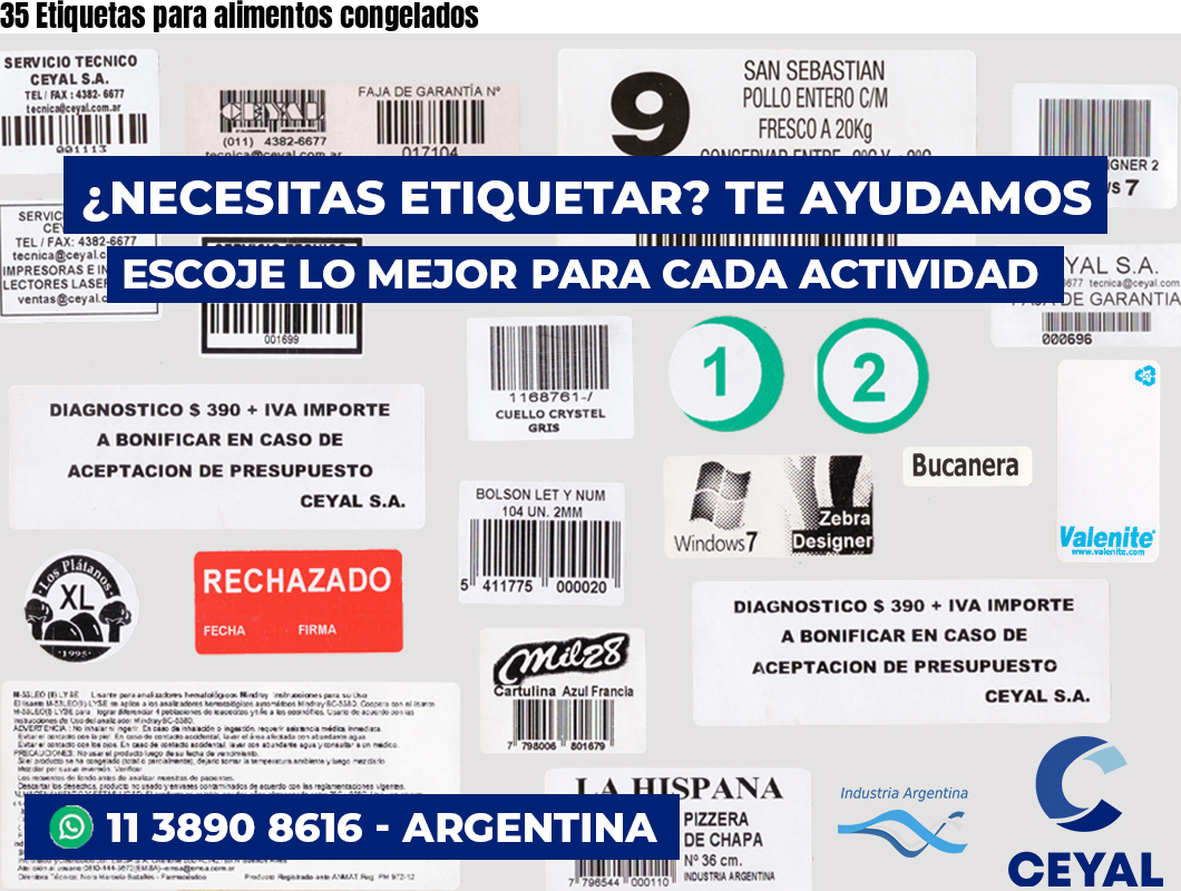 35 Etiquetas para alimentos congelados