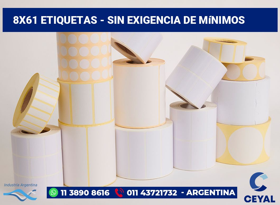 8x61 Etiquetas