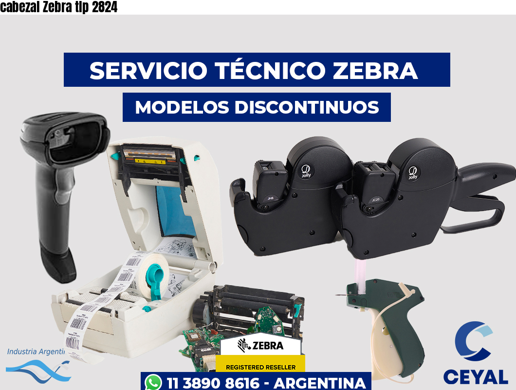 cabezal Zebra tlp 2824