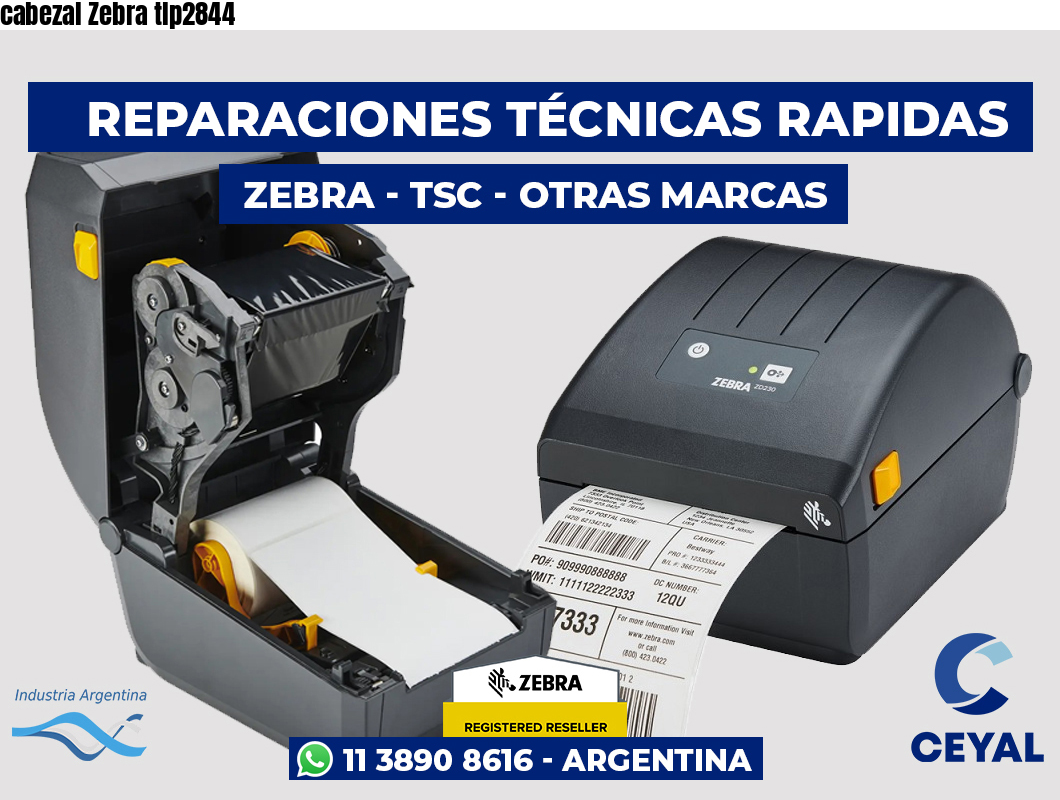 cabezal Zebra tlp2844