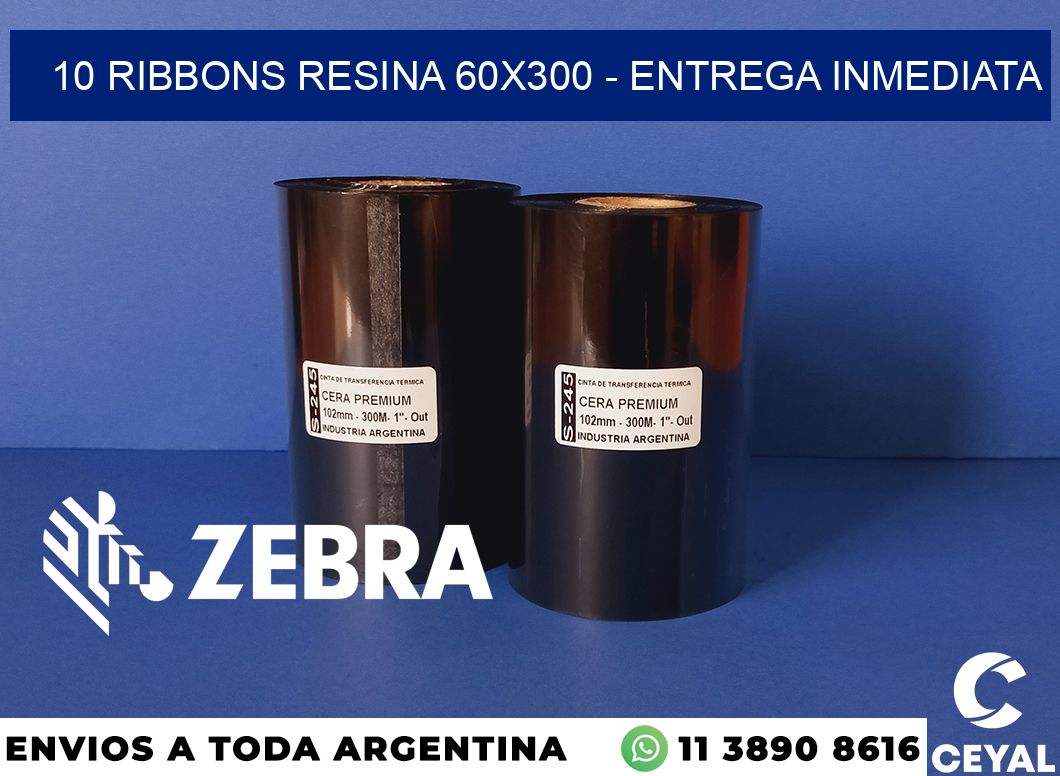 10 Ribbons resina 60x300 - Entrega inmediata