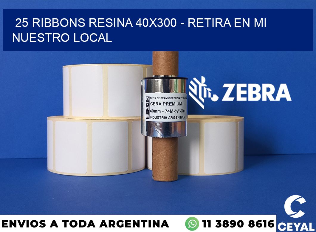 25 Ribbons resina 40x300 - retira en mi nuestro local