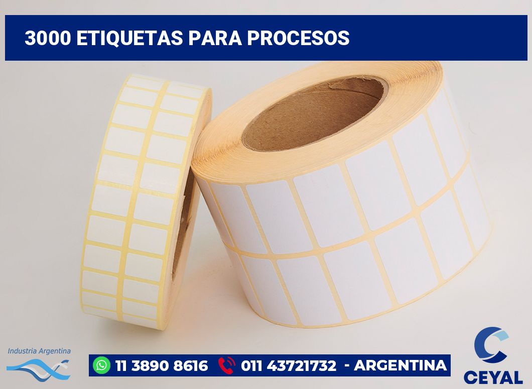 3000 Etiquetas para procesos