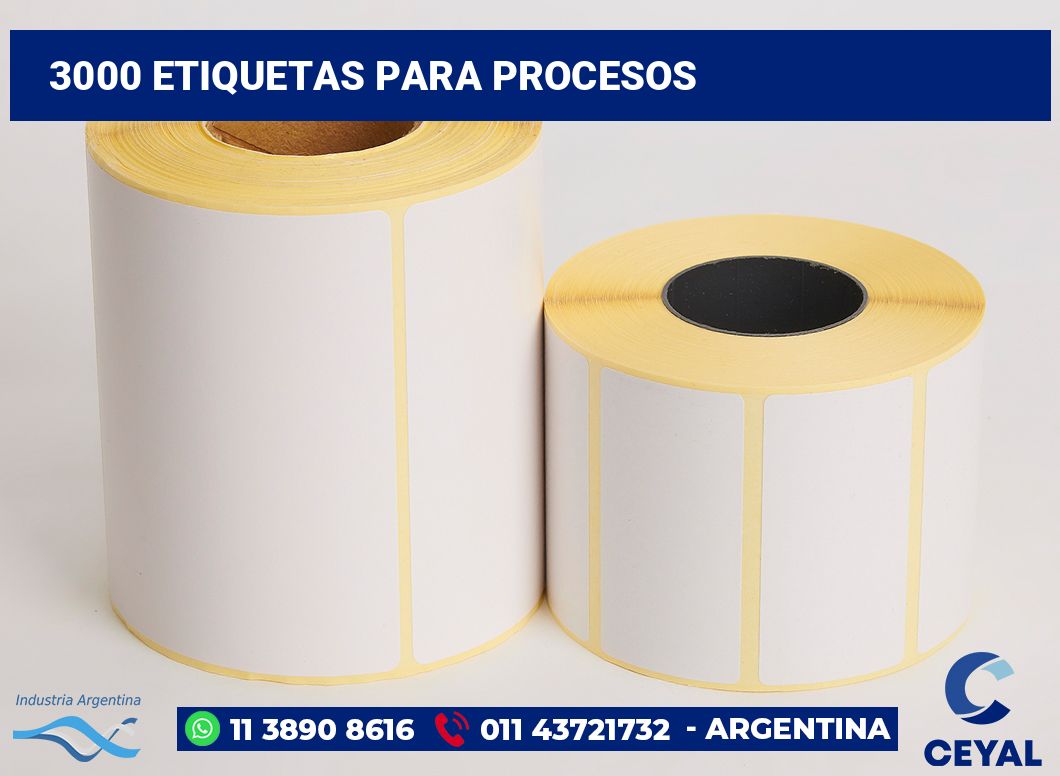 3000 Etiquetas para procesos