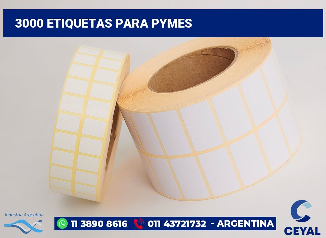 3000 Etiquetas para pymes