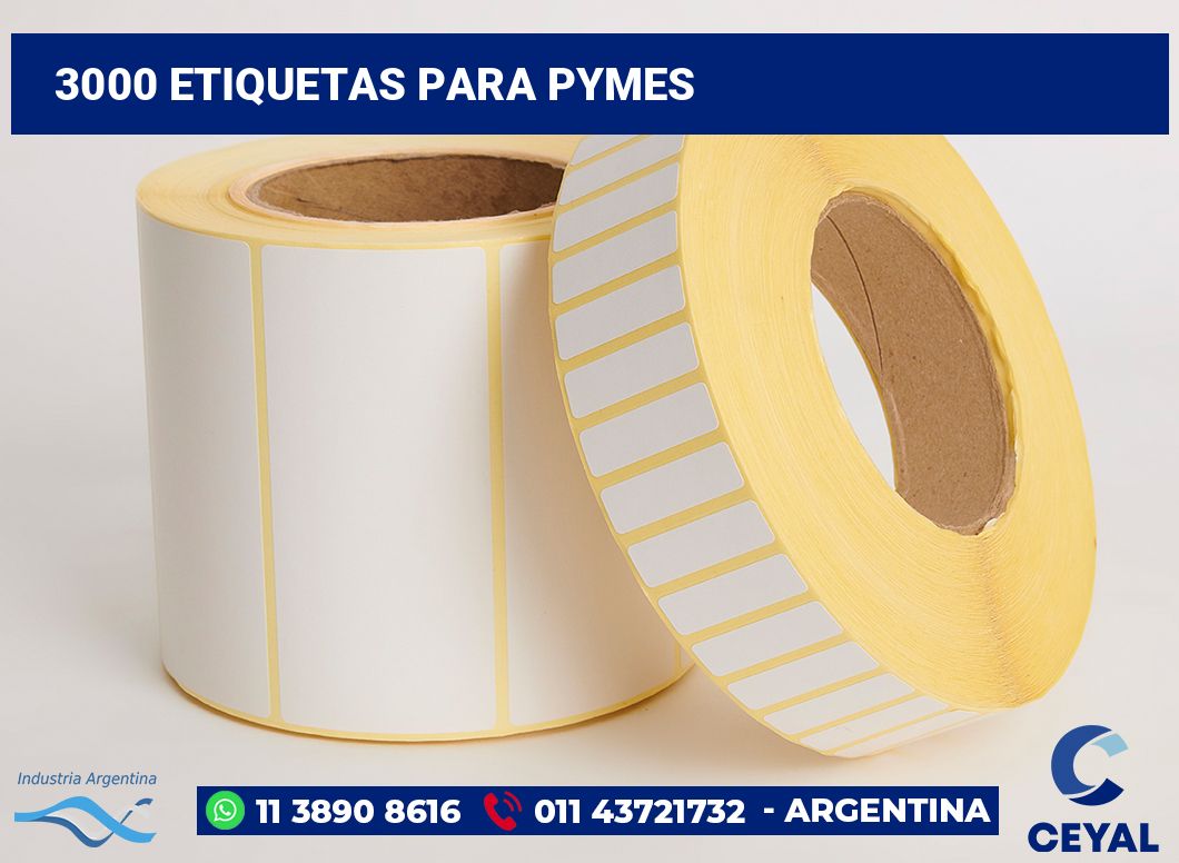 3000 Etiquetas para pymes