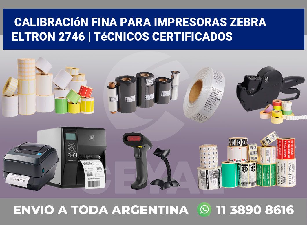 Calibración fina para impresoras Zebra Eltron 2746 | Técnicos certificados