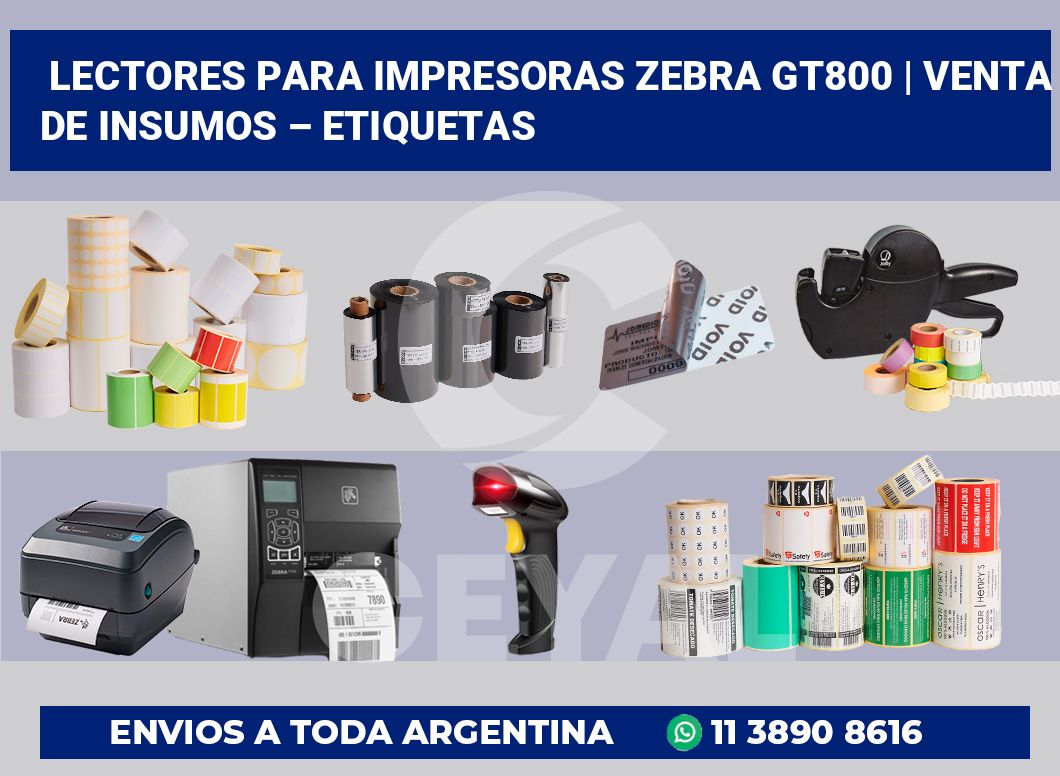 Lectores para impresoras Zebra GT800 | Venta de insumos – Etiquetas
