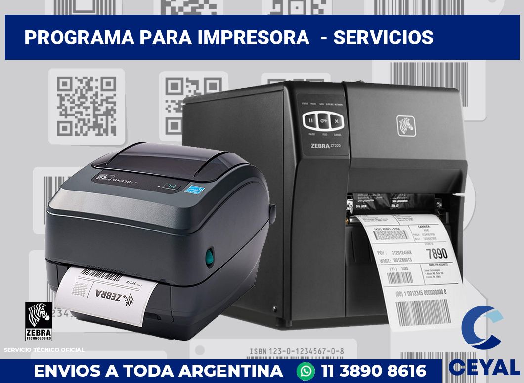 Programa para impresora  - Servicios