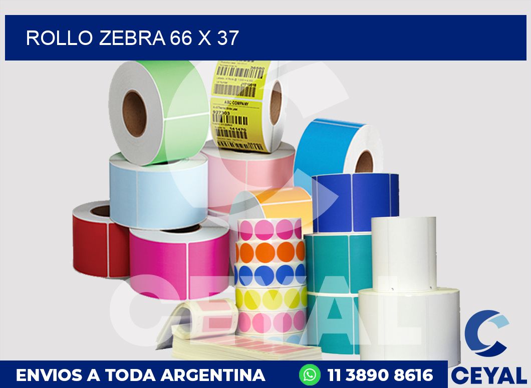 rollo zebra 66 x 37