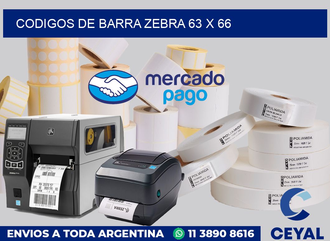 Codigos de barra Zebra 63 x 66