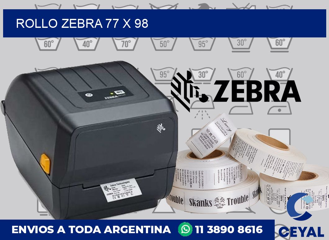rollo zebra 77 x 98