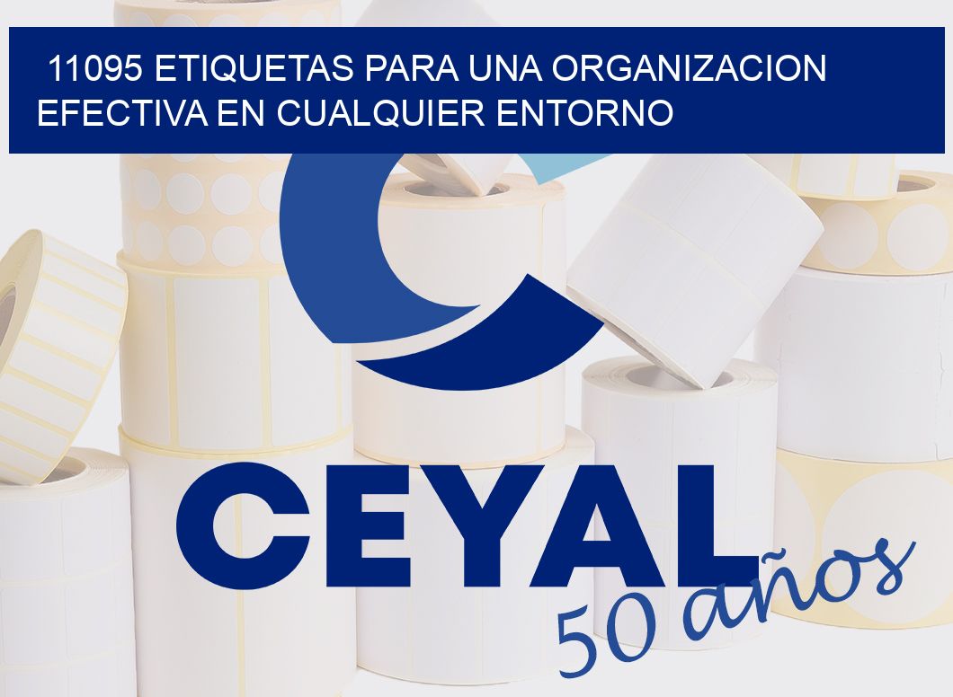 11095 ETIQUETAS PARA UNA ORGANIZACION EFECTIVA EN CUALQUIER ENTORNO