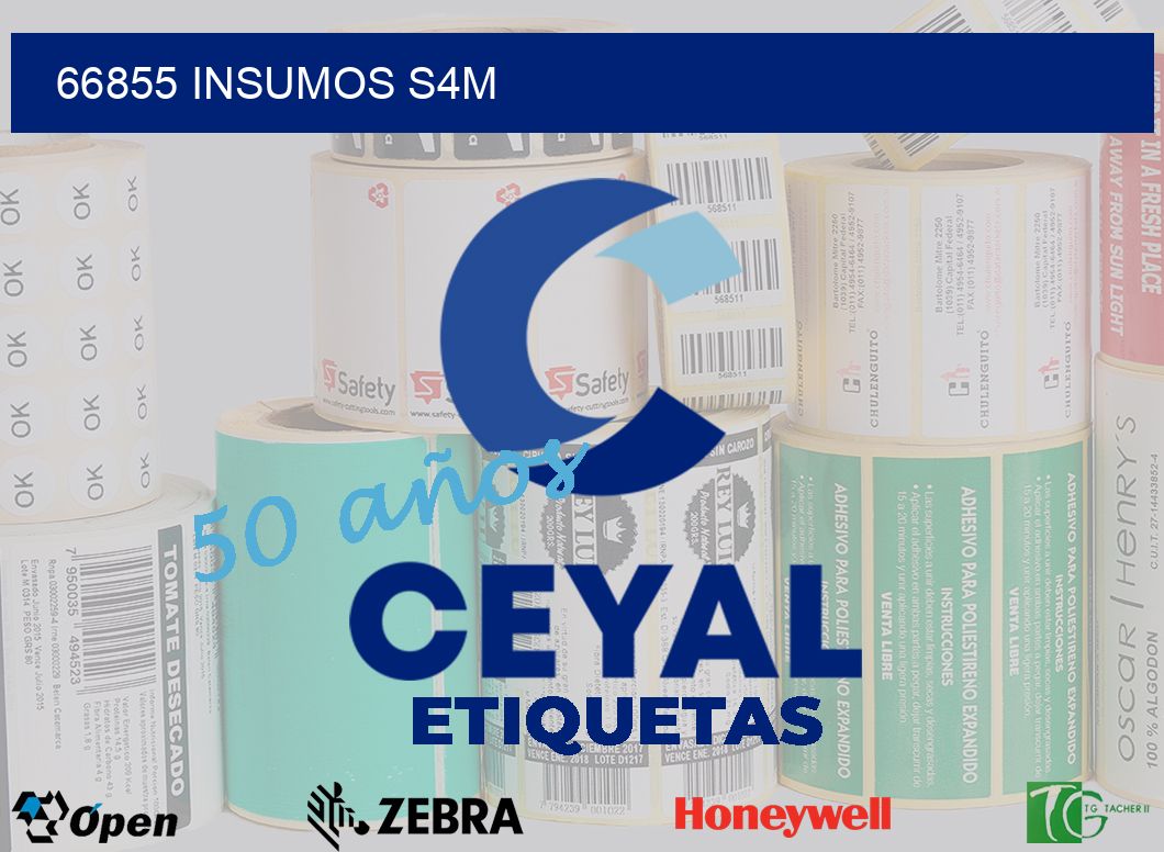 66855 INSUMOS S4M