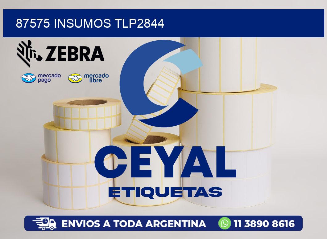 87575 INSUMOS TLP2844