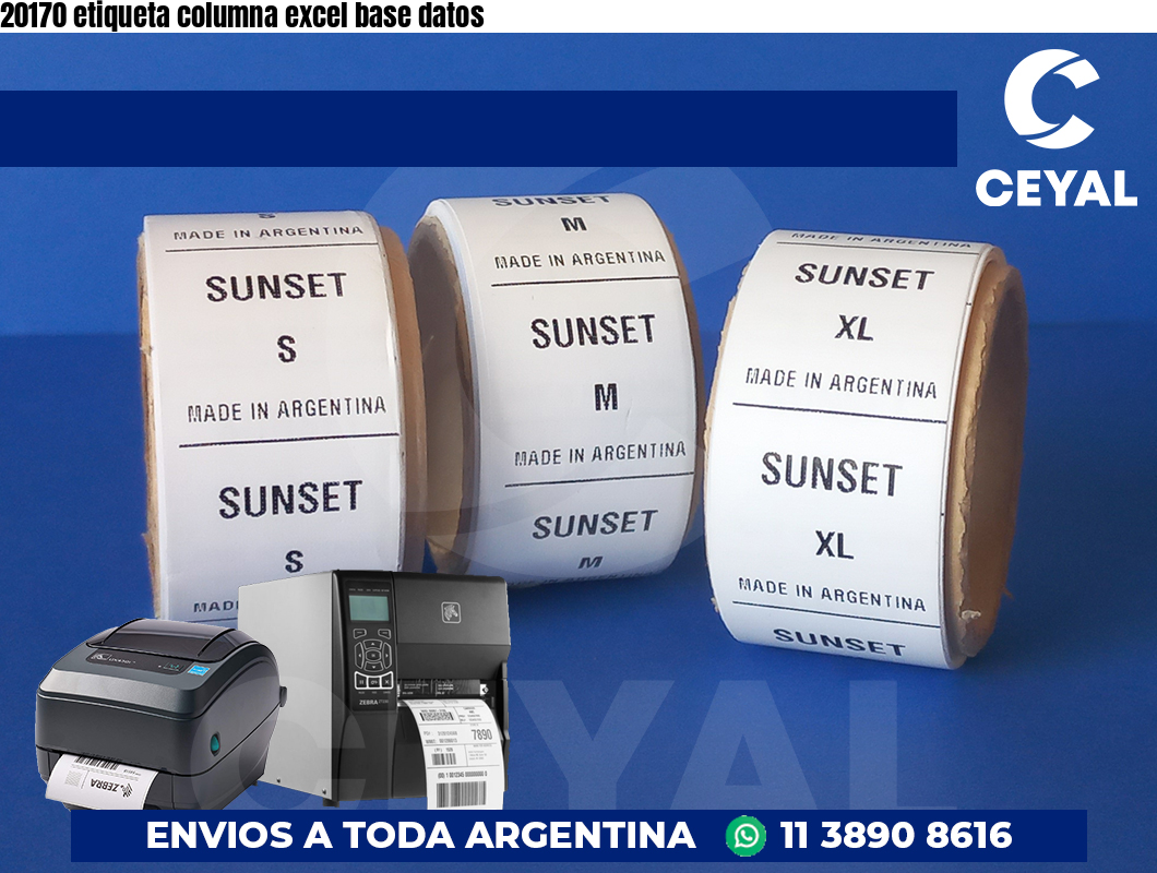 20170 etiqueta columna excel base datos