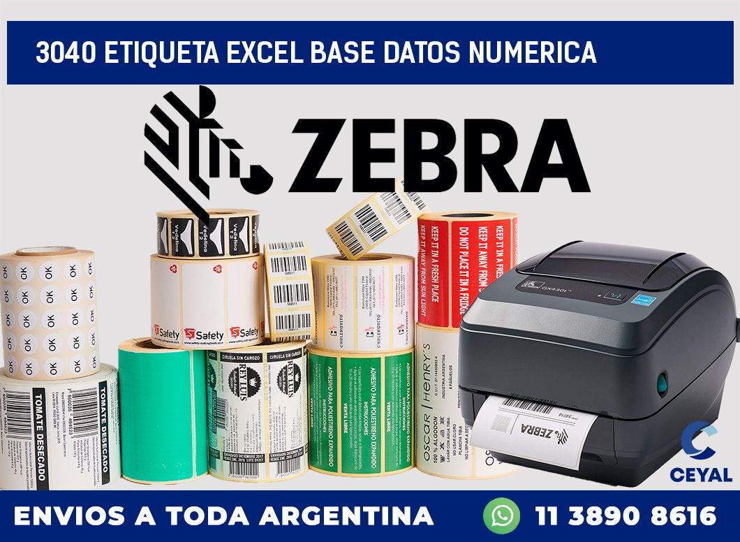 3040 etiqueta excel base datos numerica