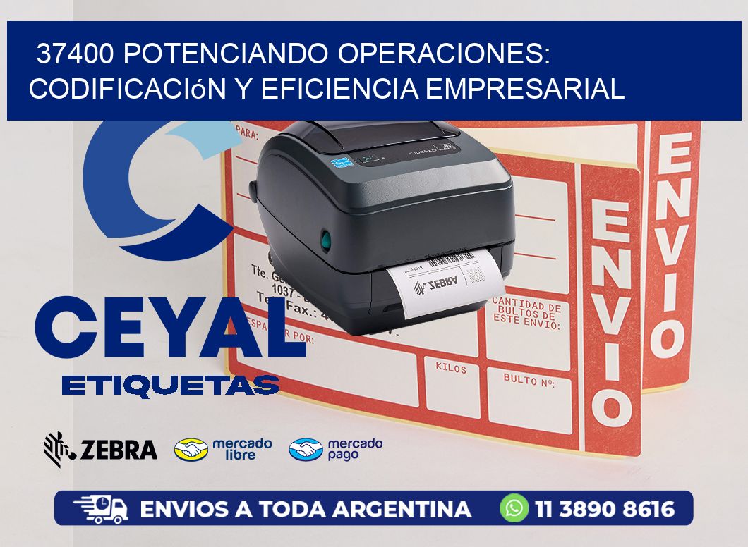 37400 Potenciando Operaciones: Codificación y Eficiencia Empresarial