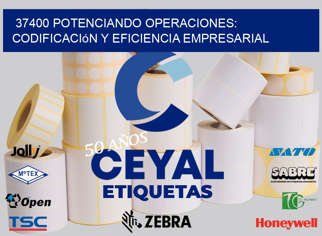 37400 Potenciando Operaciones: Codificación y Eficiencia Empresarial