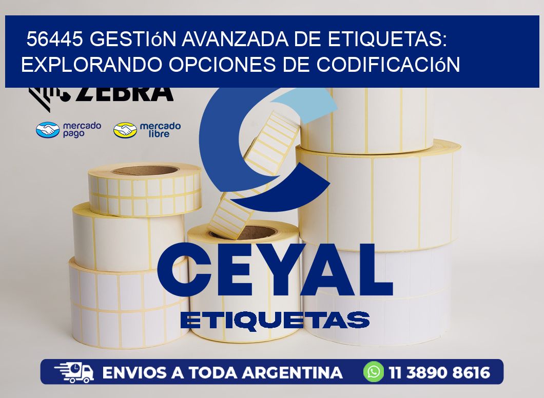 56445 Gestión Avanzada de Etiquetas: Explorando Opciones de Codificación