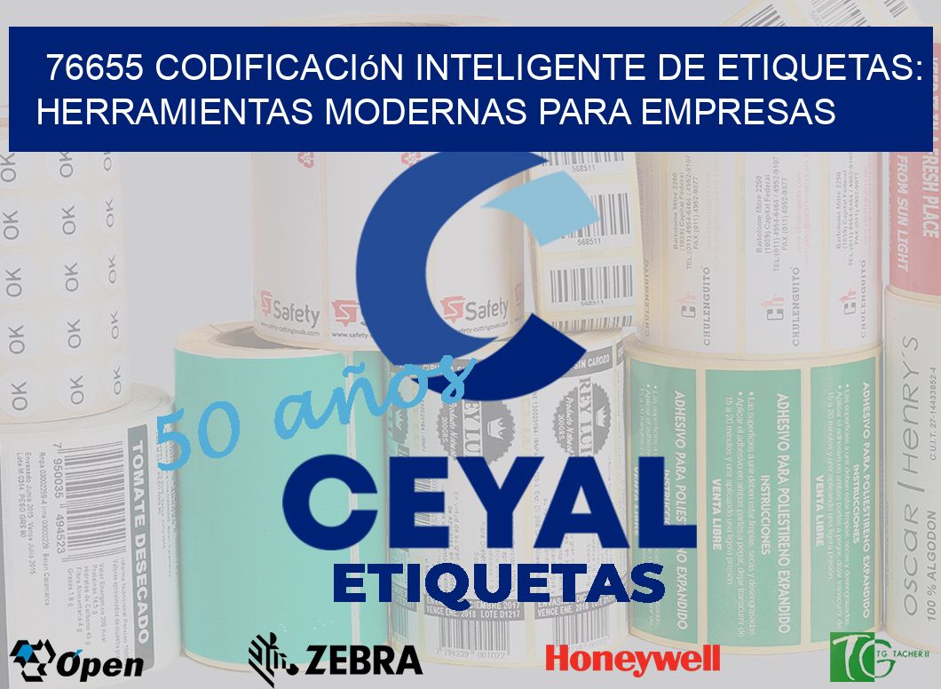76655 Codificación Inteligente de Etiquetas: Herramientas Modernas para Empresas