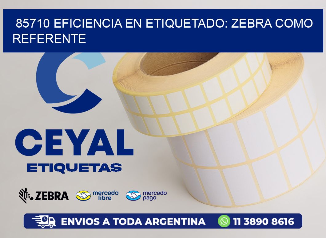 85710 Eficiencia en Etiquetado: Zebra como Referente